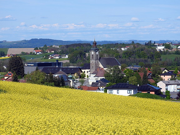 Lambrechten im Frühling DSCN7516.JPG